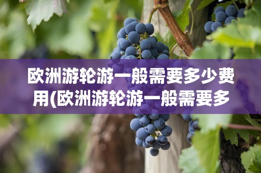 欧洲游轮游一般需要多少费用(欧洲游轮游一般需要多少费用呢)
