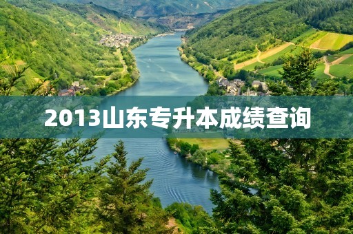 2013山东专升本成绩查询