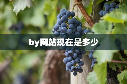 by网站现在是多少