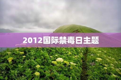 2012国际禁毒日主题