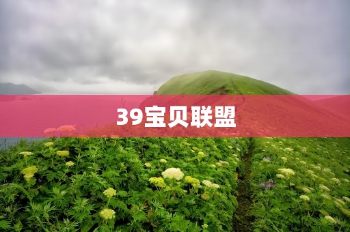 39宝贝联盟