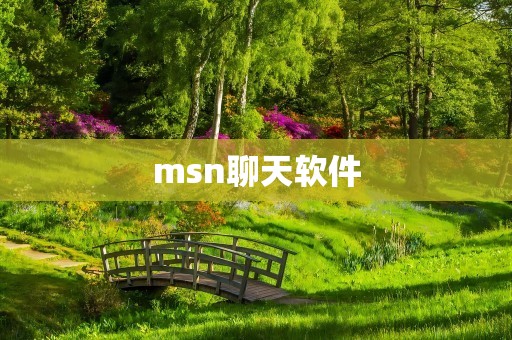 msn聊天软件