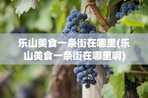 乐山美食一条街在哪里(乐山美食一条街在哪里啊)