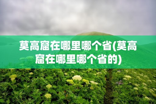 莫高窟在哪里哪个省(莫高窟在哪里哪个省的)
