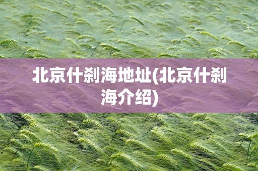 北京什刹海地址(北京什刹海介绍)