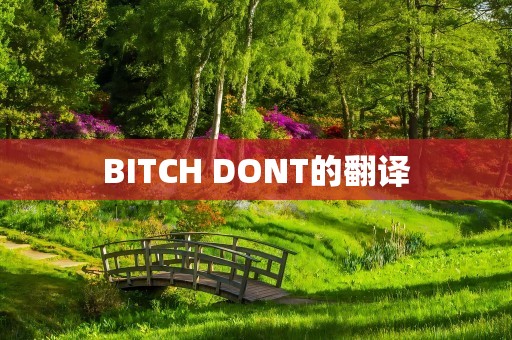 BITCH DONT的翻译