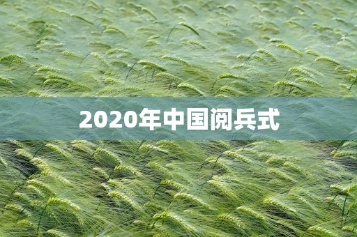 2020年中国阅兵式