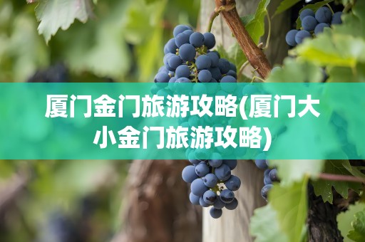厦门金门旅游攻略(厦门大小金门旅游攻略)