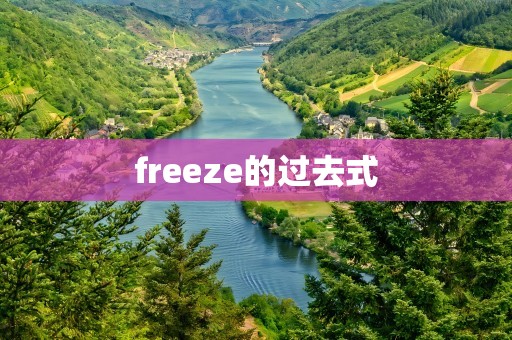 freeze的过去式