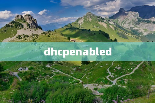 dhcpenabled