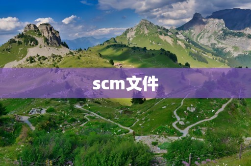 scm文件