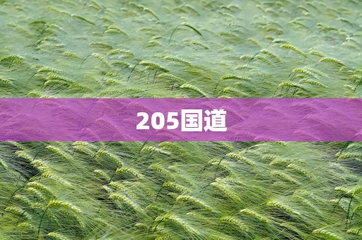 205国道