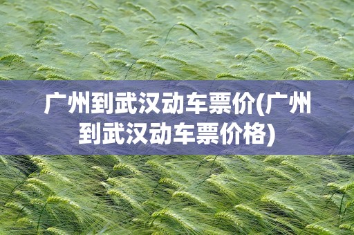 广州到武汉动车票价(广州到武汉动车票价格)