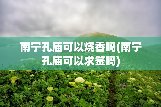 南宁孔庙可以烧香吗(南宁孔庙可以求签吗)