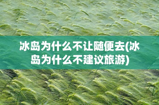 冰岛为什么不让随便去(冰岛为什么不建议旅游)