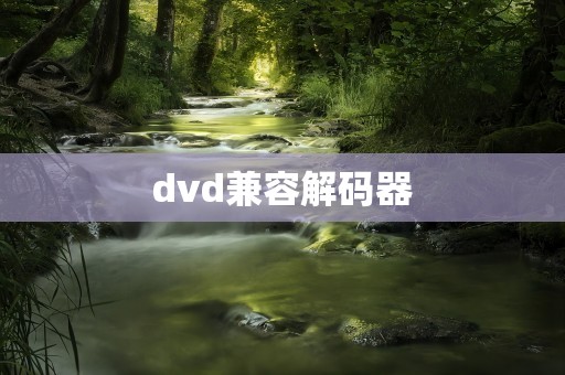 dvd兼容解码器