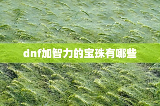 dnf加智力的宝珠有哪些