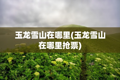 玉龙雪山在哪里(玉龙雪山在哪里抢票)