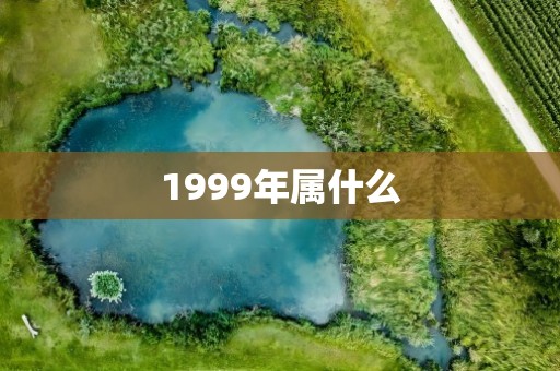1999年属什么