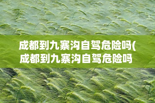 成都到九寨沟自驾危险吗(成都到九寨沟自驾危险吗 知乎)