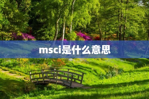 msci是什么意思