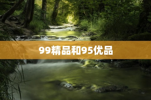 99精品和95优品