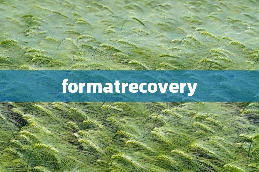 formatrecovery