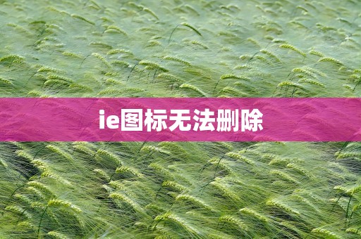 ie图标无法删除