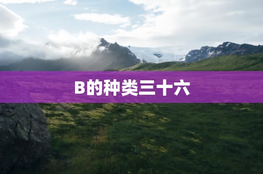 B的种类三十六