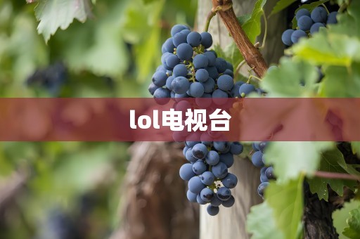 lol电视台