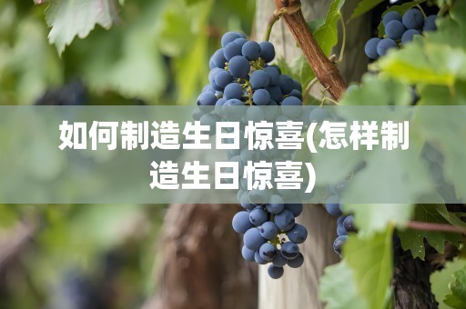 如何制造生日惊喜(怎样制造生日惊喜)