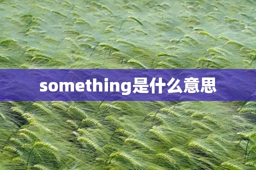 something是什么意思