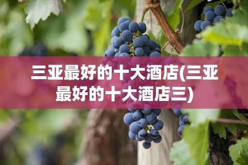 三亚最好的十大酒店(三亚最好的十大酒店三)