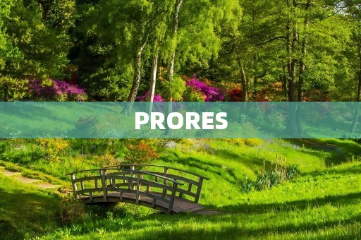 PRORES