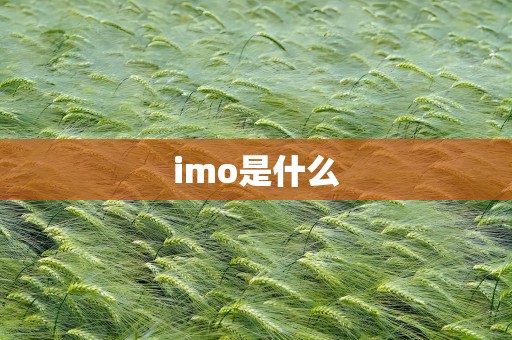 imo是什么