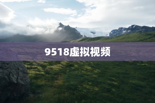 9518虚拟视频