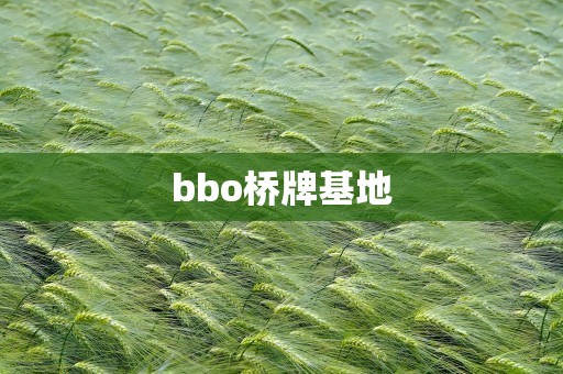 bbo桥牌基地