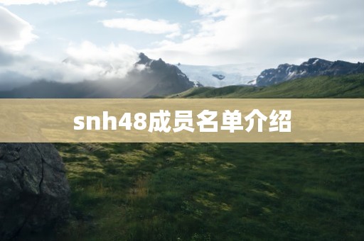 snh48成员名单介绍
