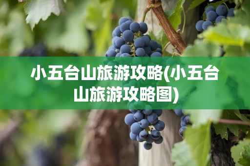 小五台山旅游攻略(小五台山旅游攻略图)