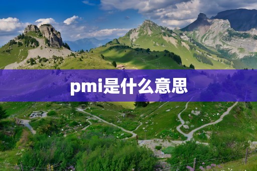 pmi是什么意思