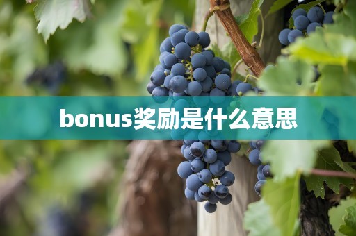 bonus奖励是什么意思