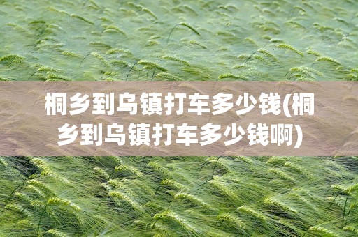 桐乡到乌镇打车多少钱(桐乡到乌镇打车多少钱啊)