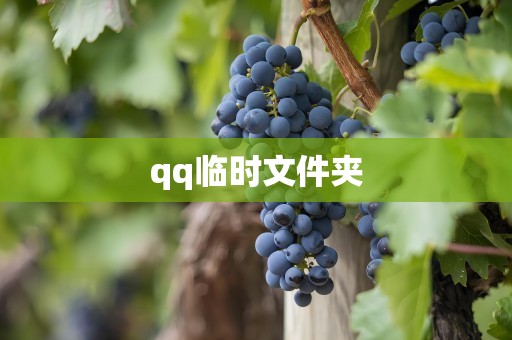 qq临时文件夹
