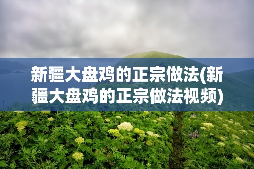 新疆大盘鸡的正宗做法(新疆大盘鸡的正宗做法视频)