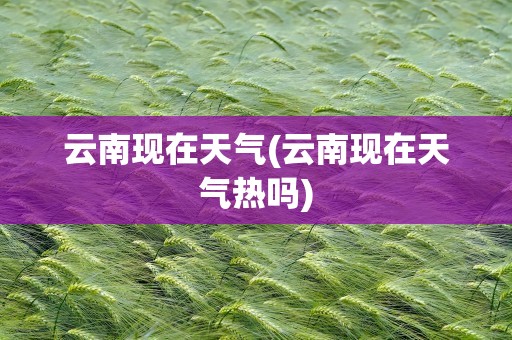云南现在天气(云南现在天气热吗)