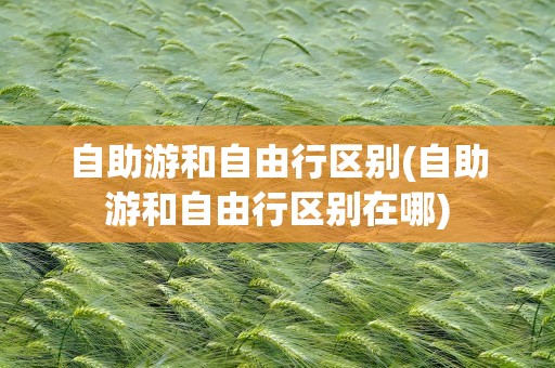 自助游和自由行区别(自助游和自由行区别在哪)