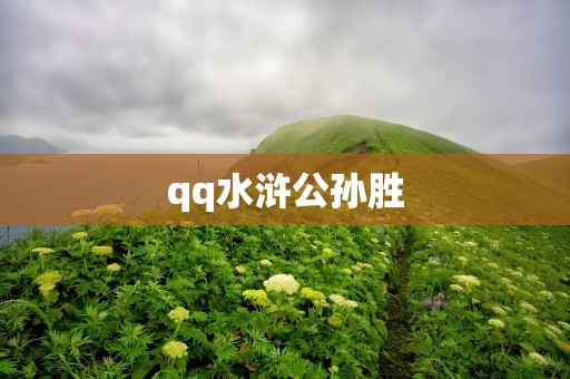 qq水浒公孙胜