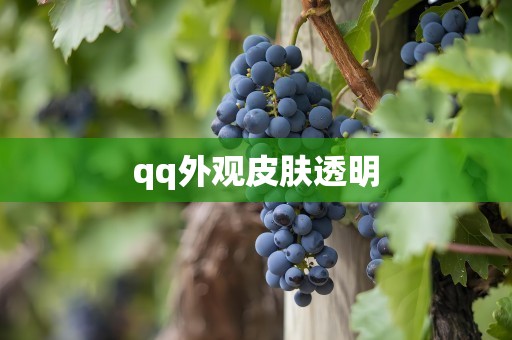 qq外观皮肤透明