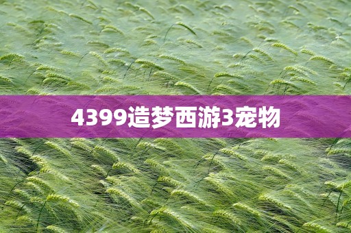 4399造梦西游3宠物