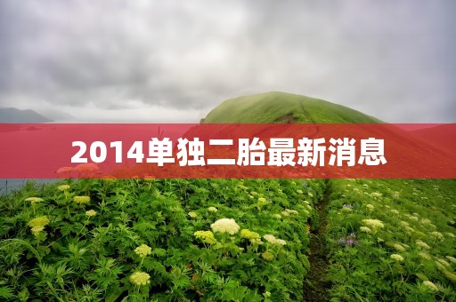 2014单独二胎最新消息